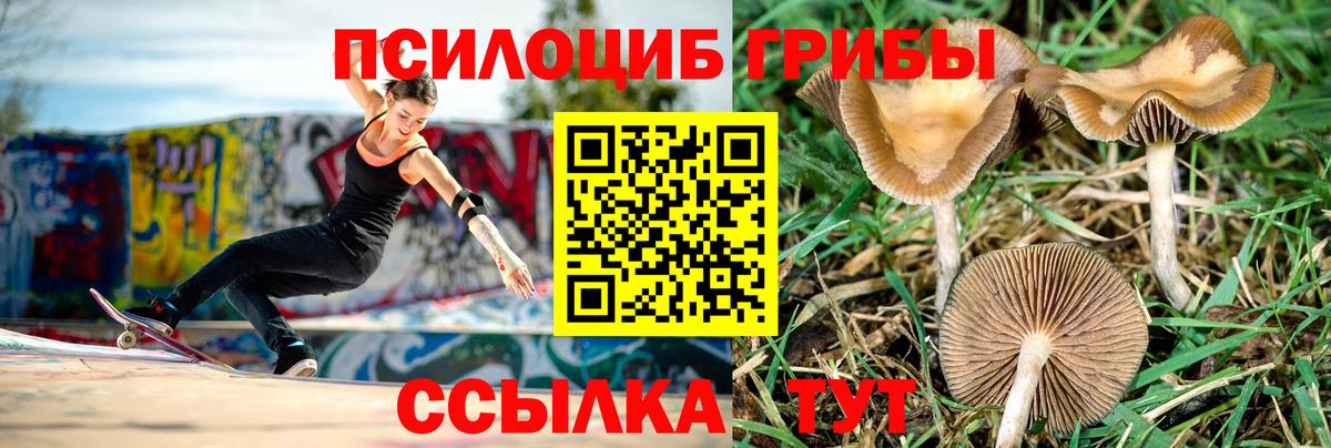 Галлюциногенные грибы мицелий  Вход с VPN  Карачаевск 